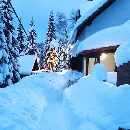 Guest house Uki & Sofi Mountain House Kopaonik