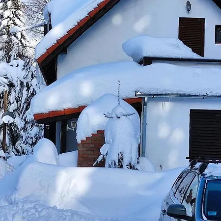 Uki & Sofi Mountain House Guest house Kopaonik