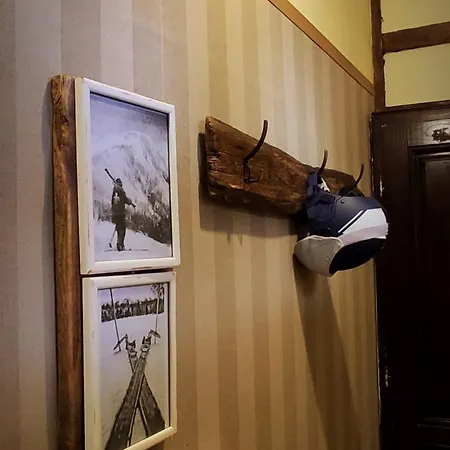 ゲストハウス Uki & Sofi Mountain House コパオニク