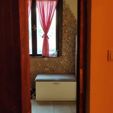 ゲストハウス Uki & Sofi Mountain House コパオニク