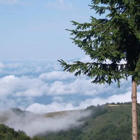 ゲストハウス Uki & Sofi Mountain House コパオニク