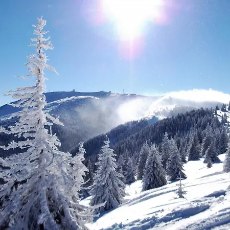 Guest house Uki & Sofi Mountain House Kopaonik
